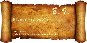 Blaha István névjegykártya